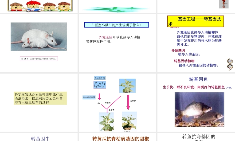 16.2 现代生物技术的发展 课件（北京课改版八年级下） (共37张PPT)