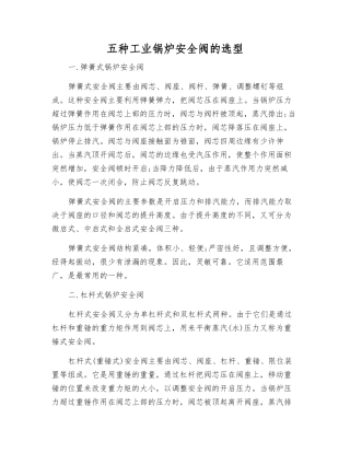 五种工业锅炉安全阀的选型