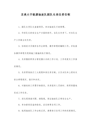 亚美大宁能源抽放队副队长岗位责任制