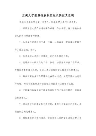 亚美大宁能源抽放队班组长岗位责任制
