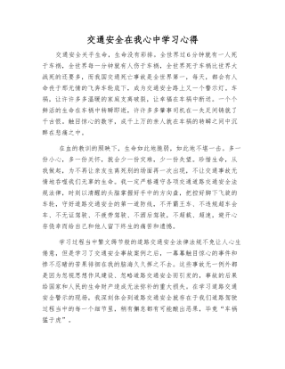 交通安全在我心中学习心得
