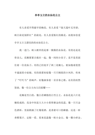 亭亭玉立的水仙花公主