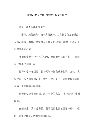 亲情-我人生路上的明灯作文700字