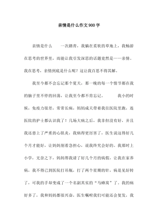 亲情是什么作文900字