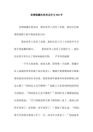 亲情隐藏在我身边作文900字-1