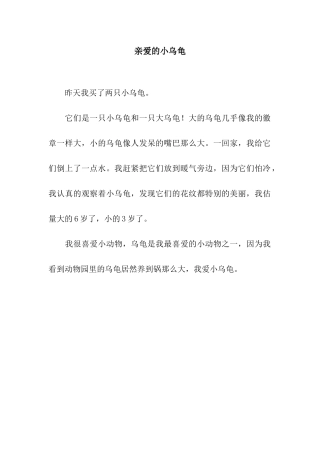 亲爱的小乌龟-1