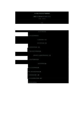 中小型公司安全生产规章制度