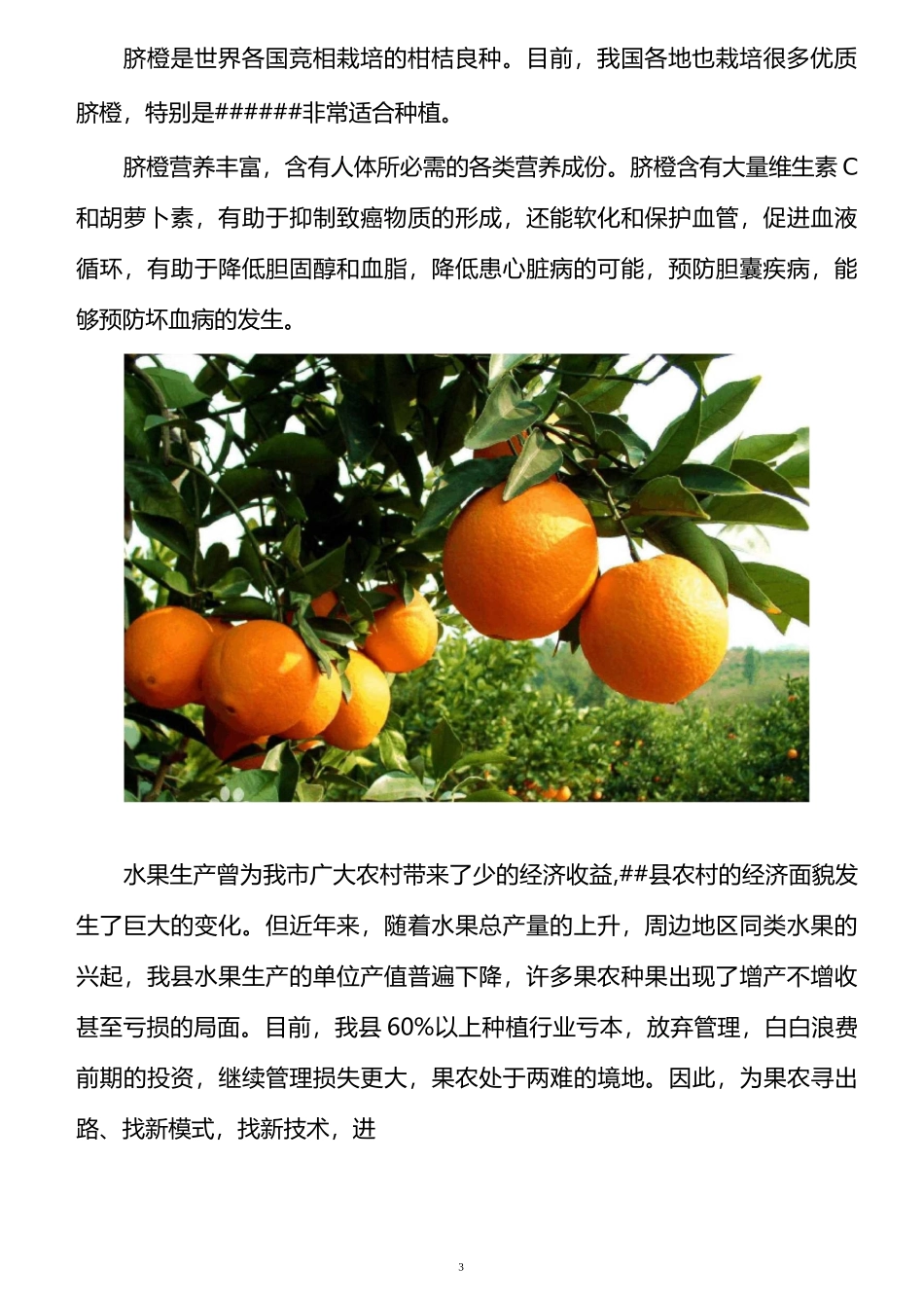 脐橙种植示范基地建设水、电、路等配套设施项目资金申请报告_第3页