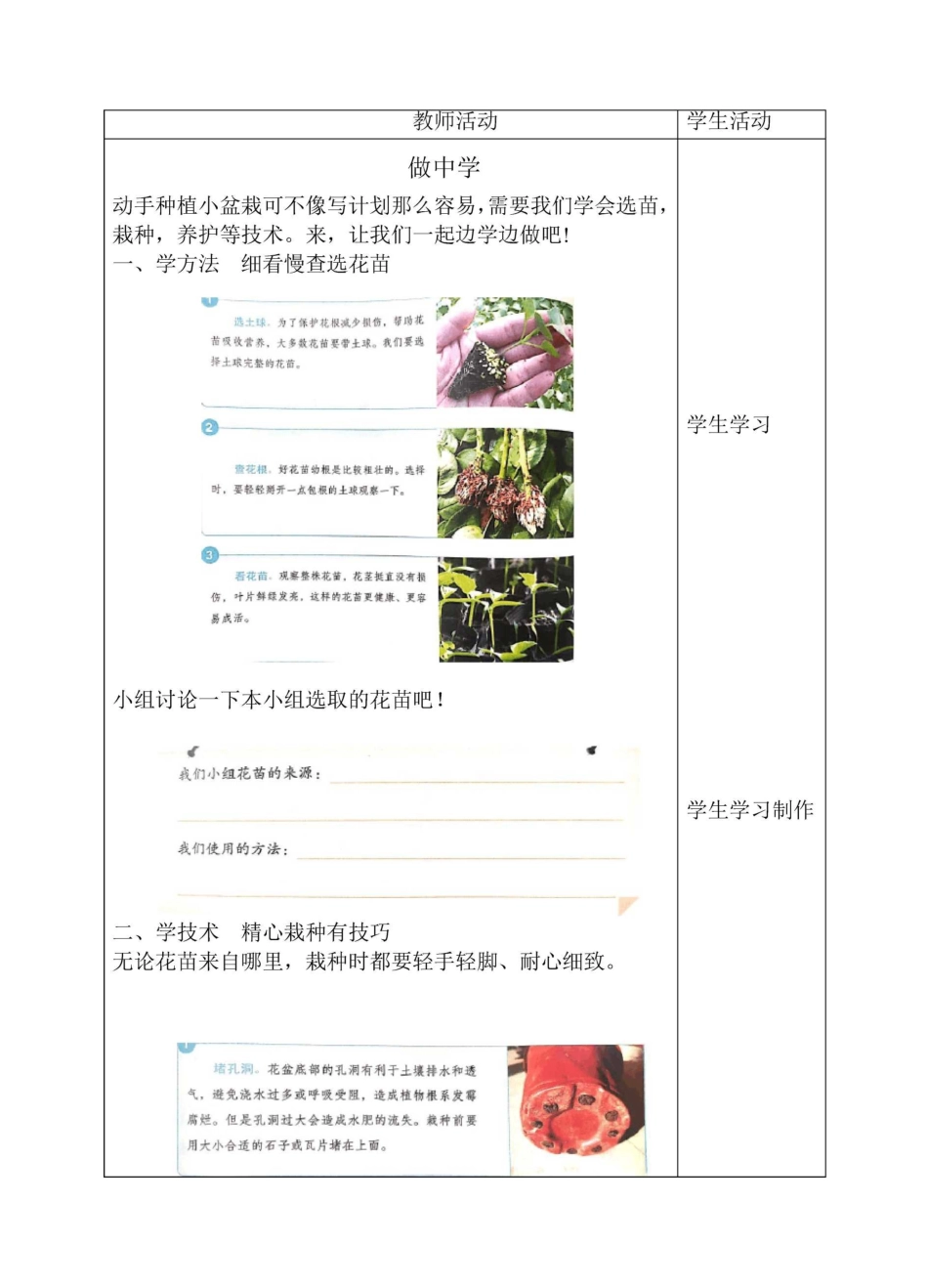 2021版劳动实践河北科学技术出版社三年级下册班级盆栽我在行教案_第3页