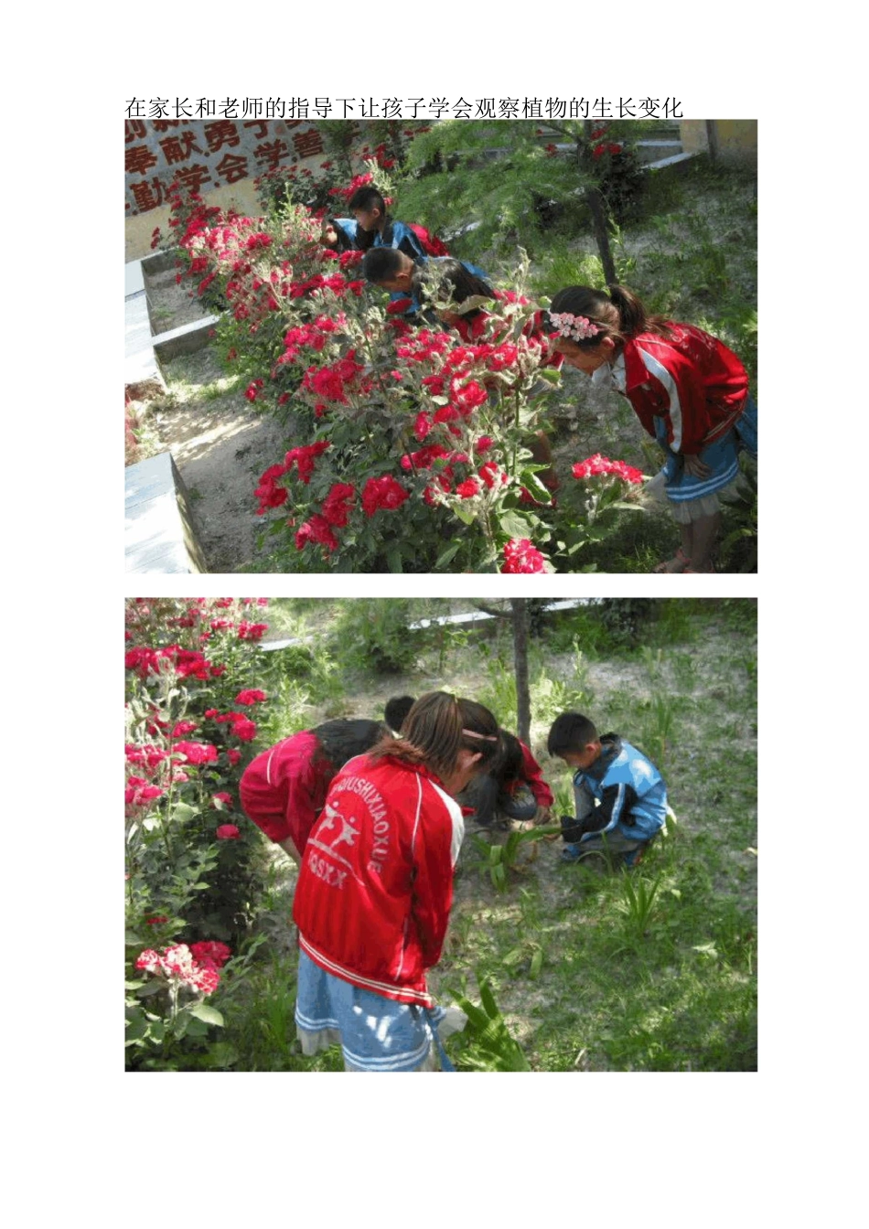 综合实践活动过程性材料word文档_第3页