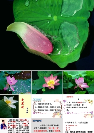 《爱莲说》课件40张