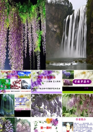 《紫藤萝瀑布》课件(共50张PPT)