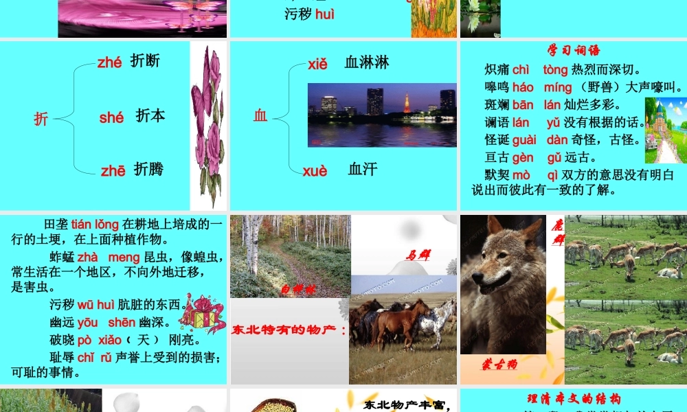 土地的誓言课件