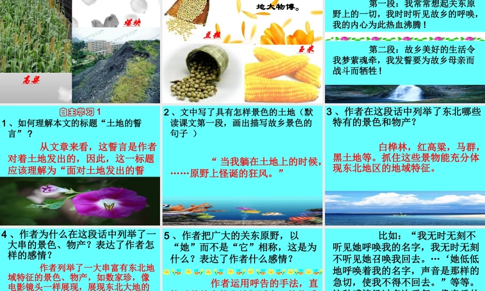 土地的誓言课件