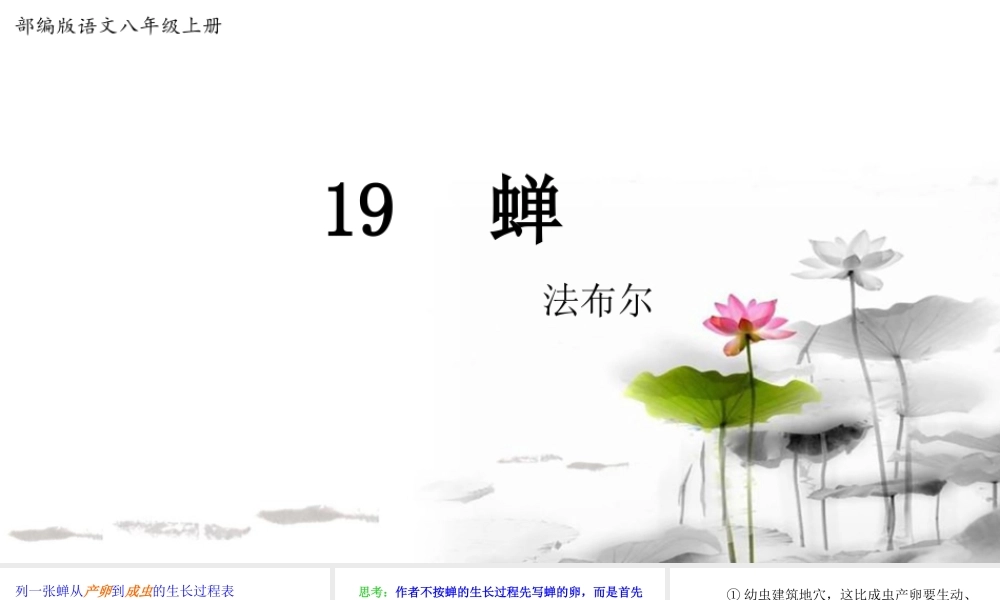 《蝉》第2课时【课件】