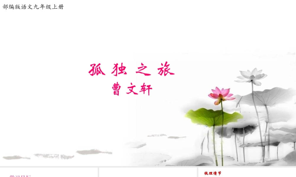 《孤独之旅》【课件】