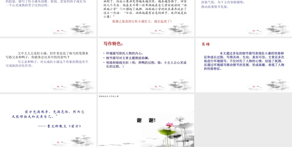 《孤独之旅》【课件】