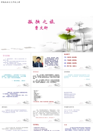 《孤独之旅》【课件】