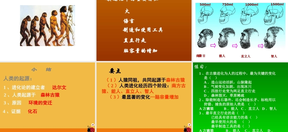 《人类的起源和进化》课件     19张PPT
