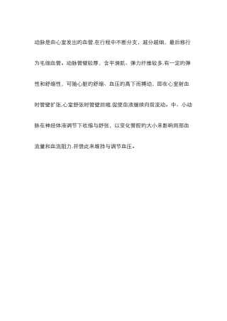 人体血管解剖图