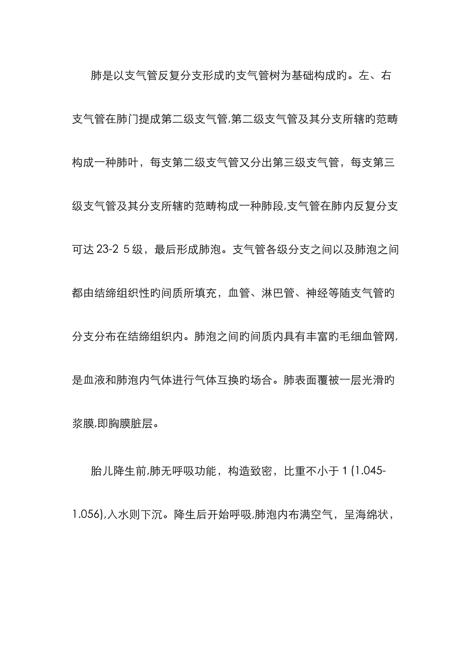 人体肺部结构图_第2页