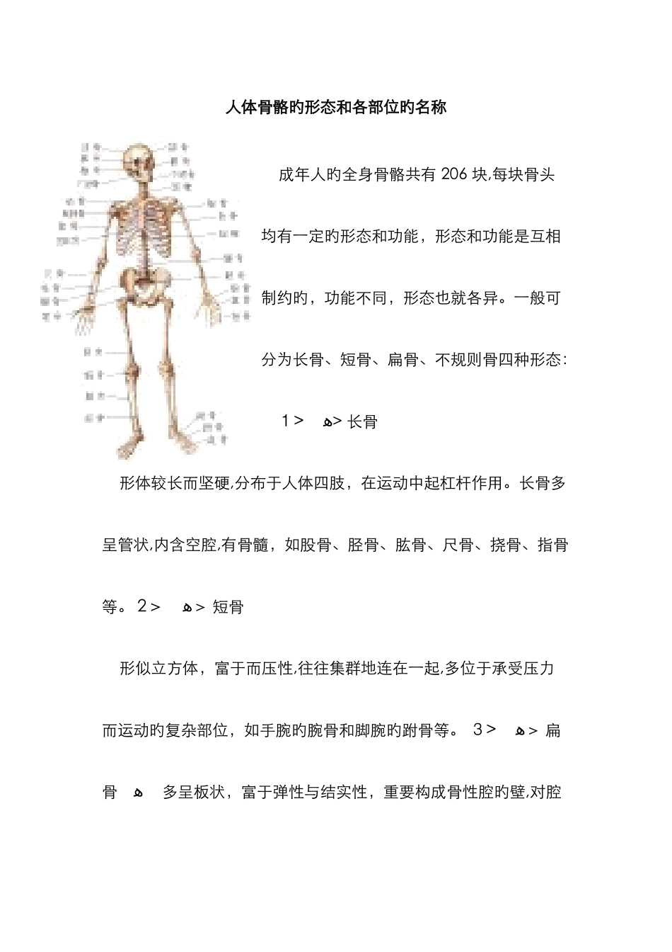 人体骨骼的形态和各部位的名称_第1页