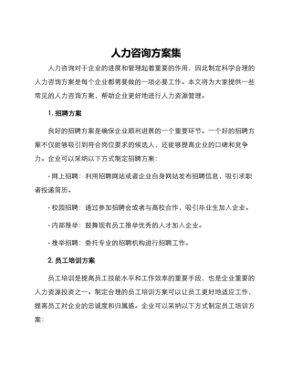 人力咨询方案集