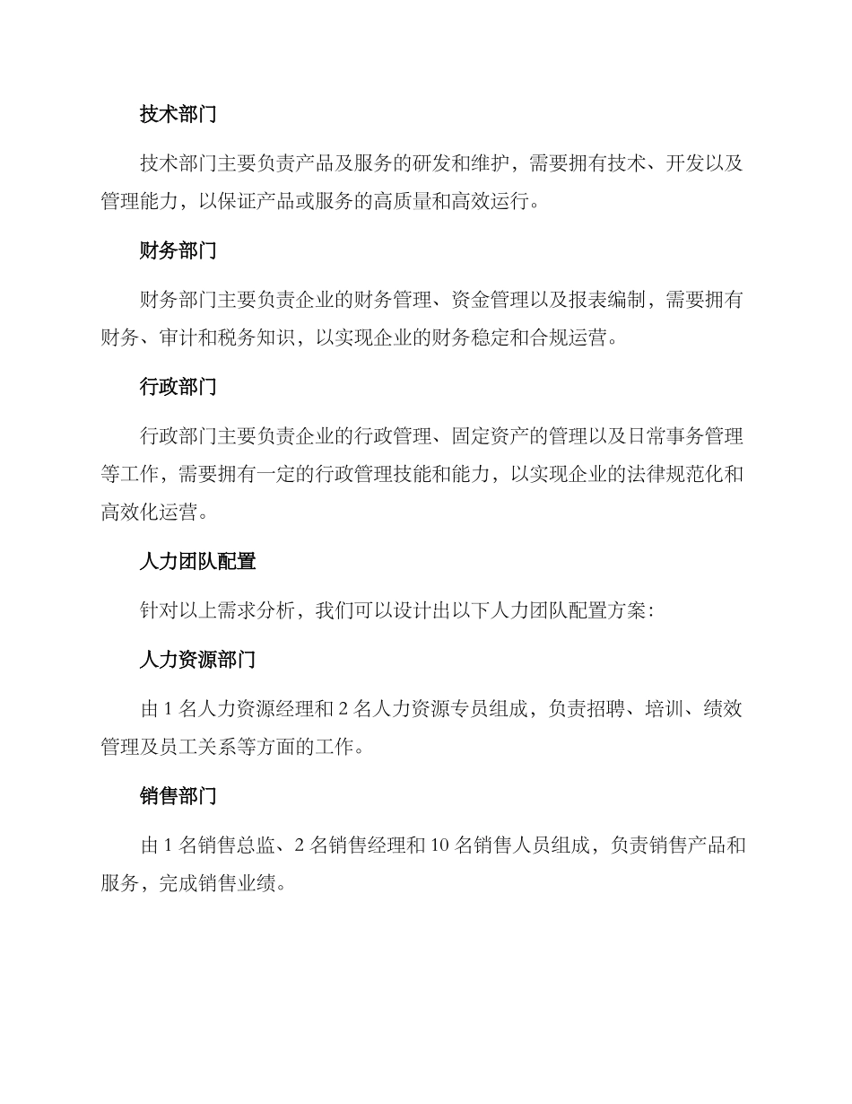 人力团队配置方案_第2页