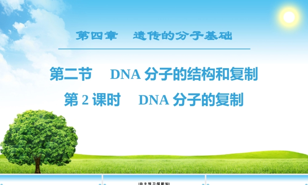 DNA分子的复制