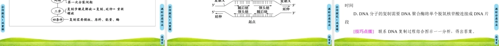 DNA分子的复制