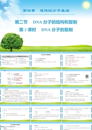 DNA分子的复制