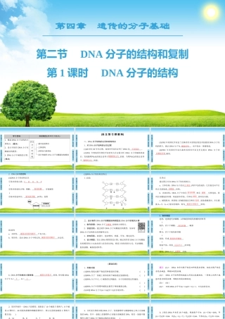 DNA分子的结构