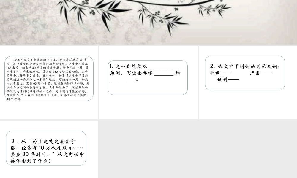 埃及的金字塔2