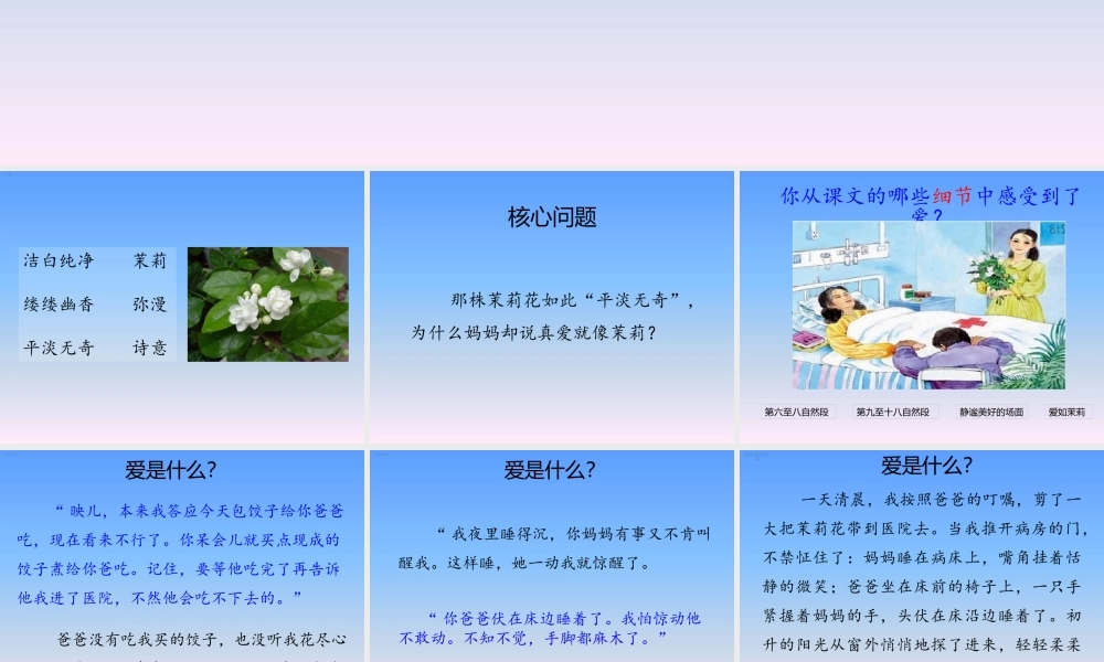 爱如茉莉（第二课时）