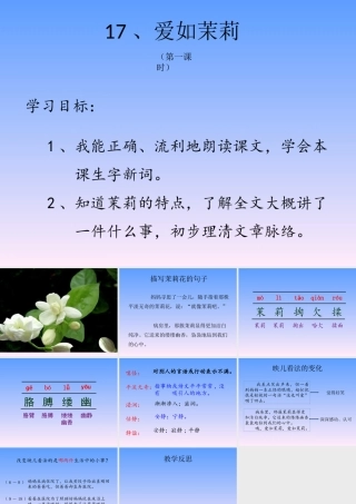 爱如茉莉（第一课时）