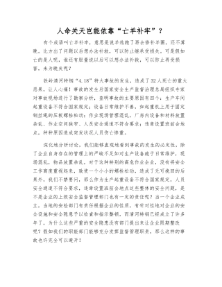 人命关天岂能依靠“亡羊补牢”？