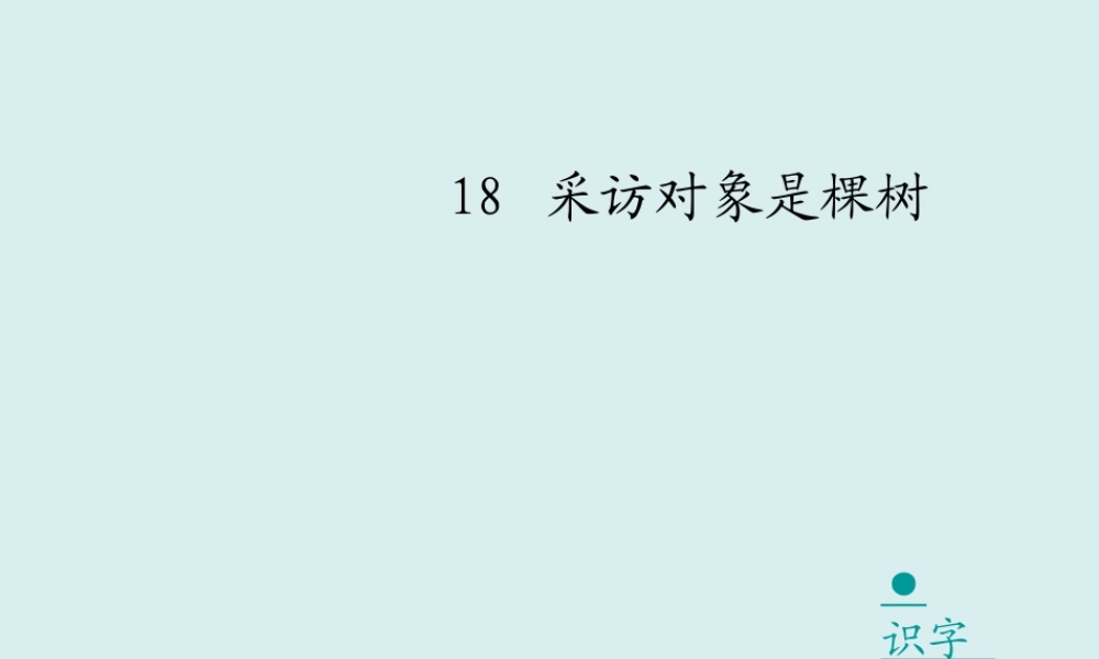 采访对象是棵树