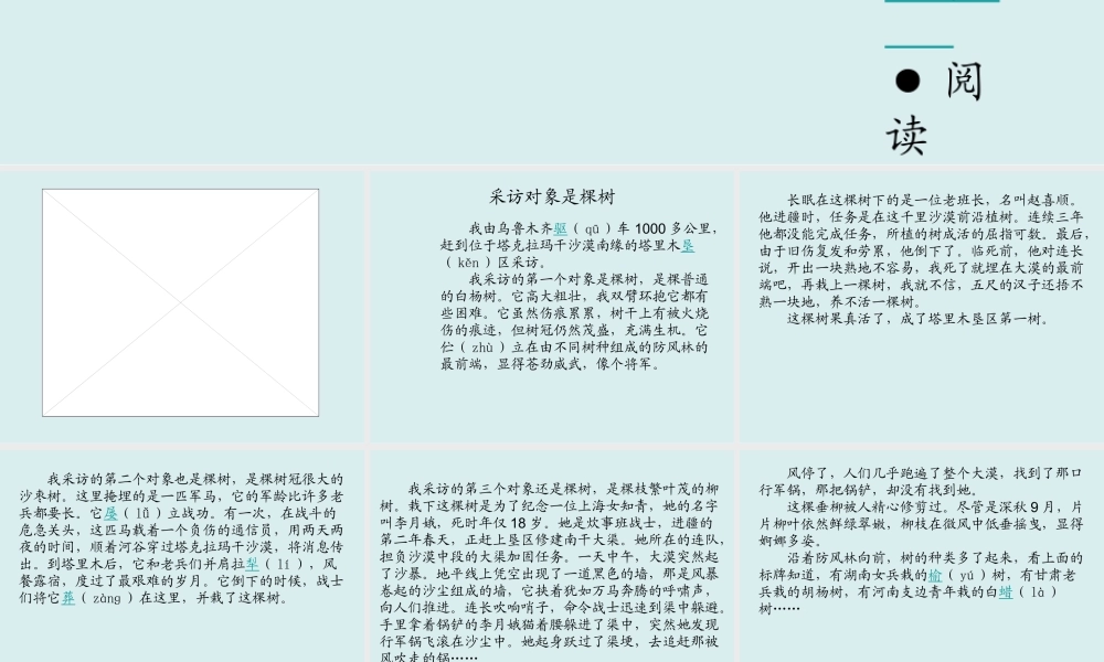 采访对象是棵树