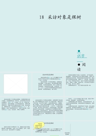 采访对象是棵树