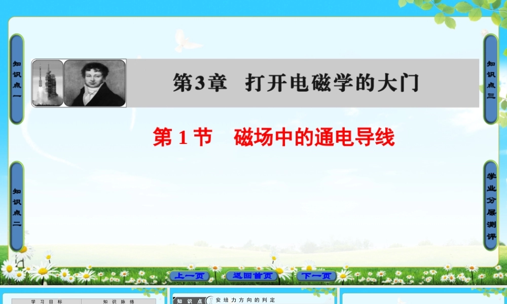 磁场中的通电导线