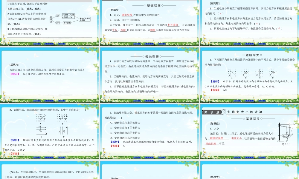 磁场中的通电导线