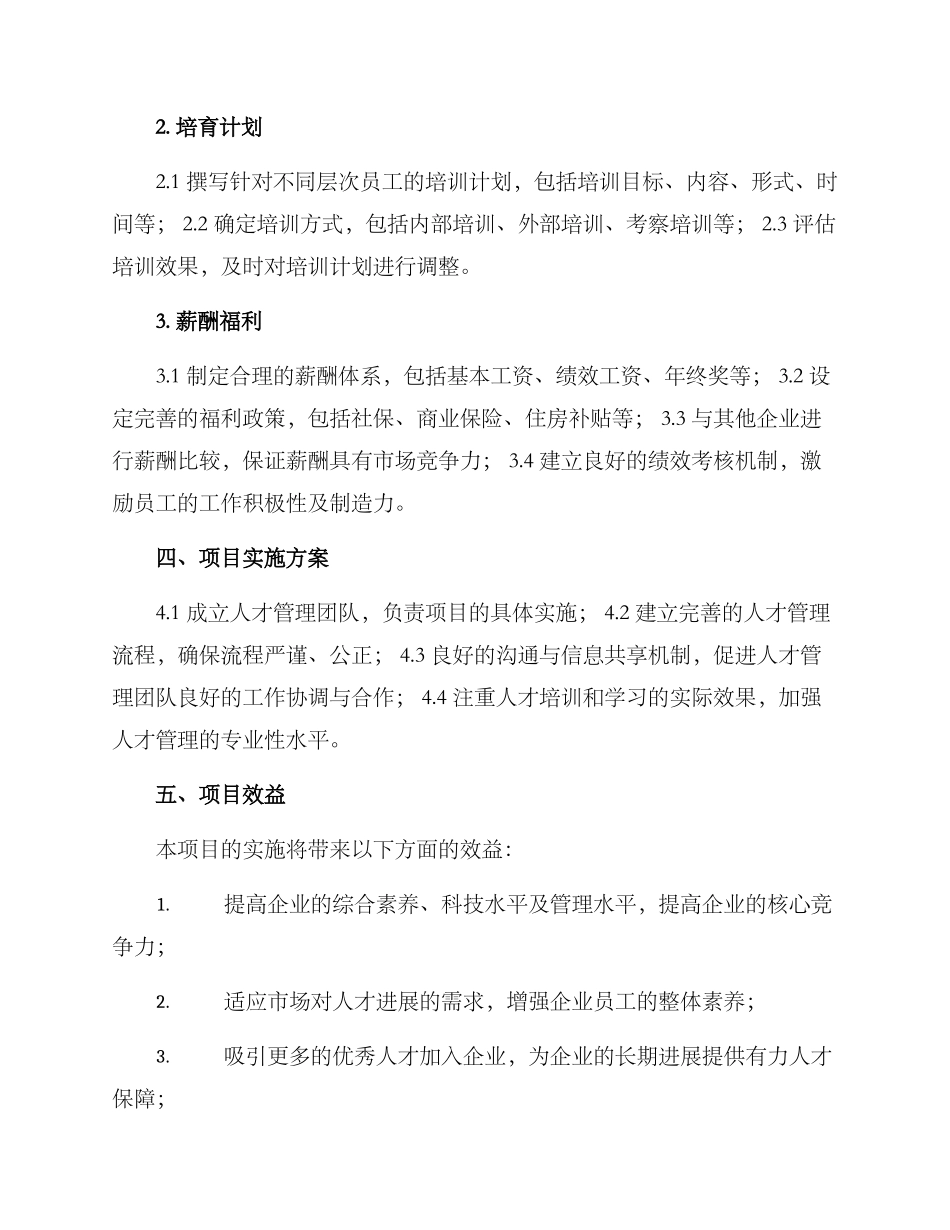 人才工作项目方案_第2页
