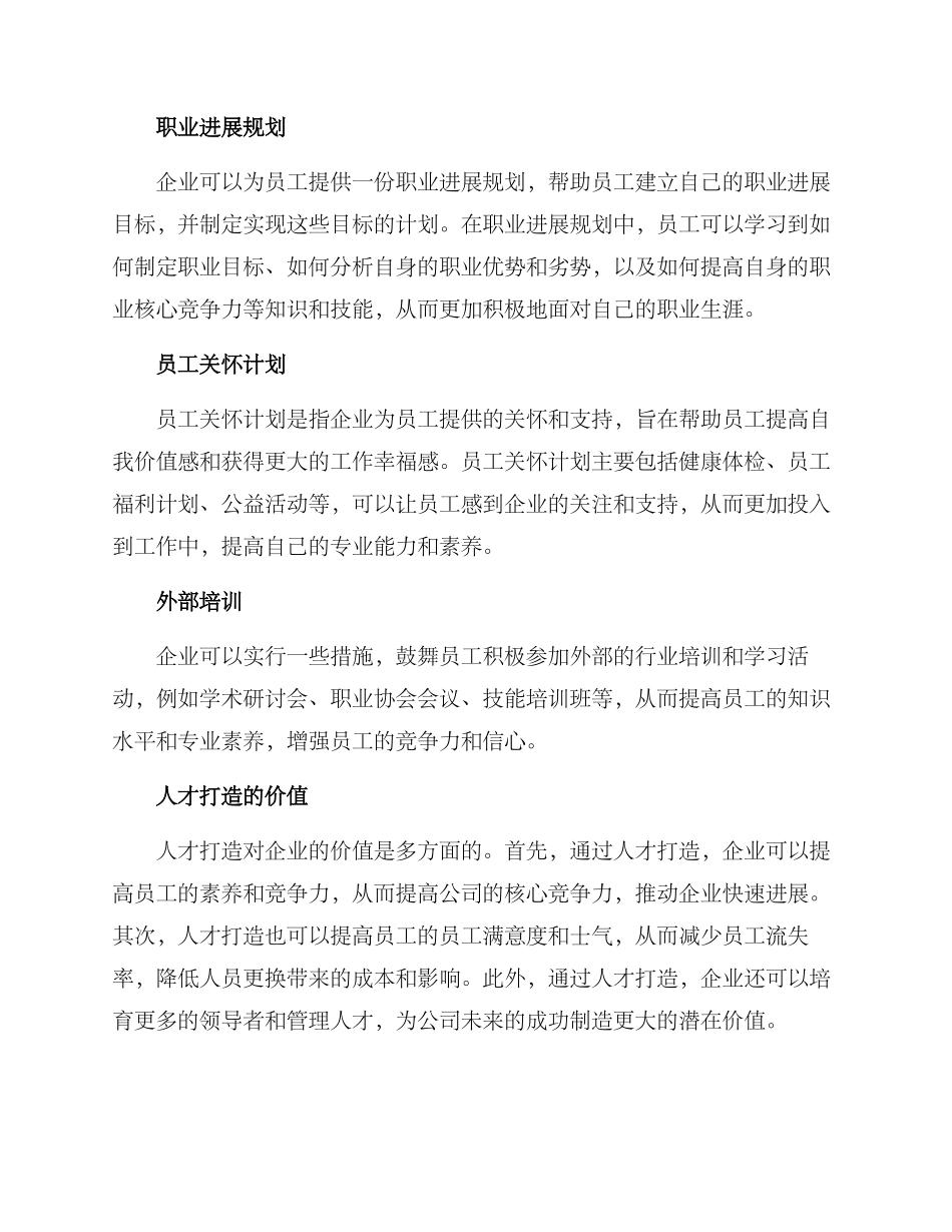 人才打造方案_第2页