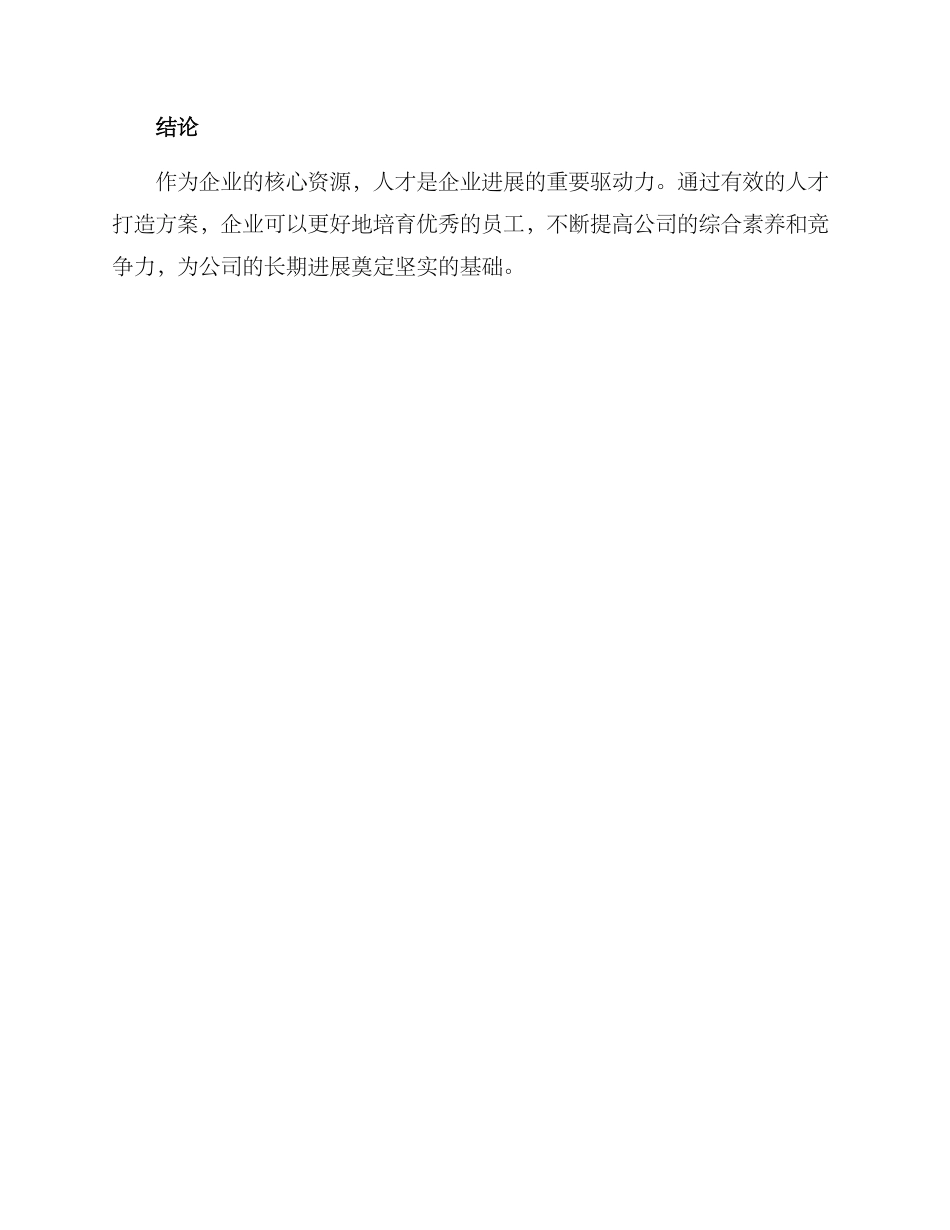 人才打造方案_第3页