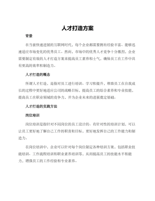 人才打造方案