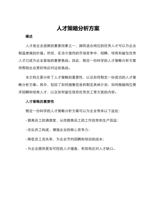 人才策略分析方案