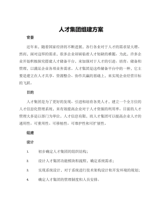 人才集团组建方案