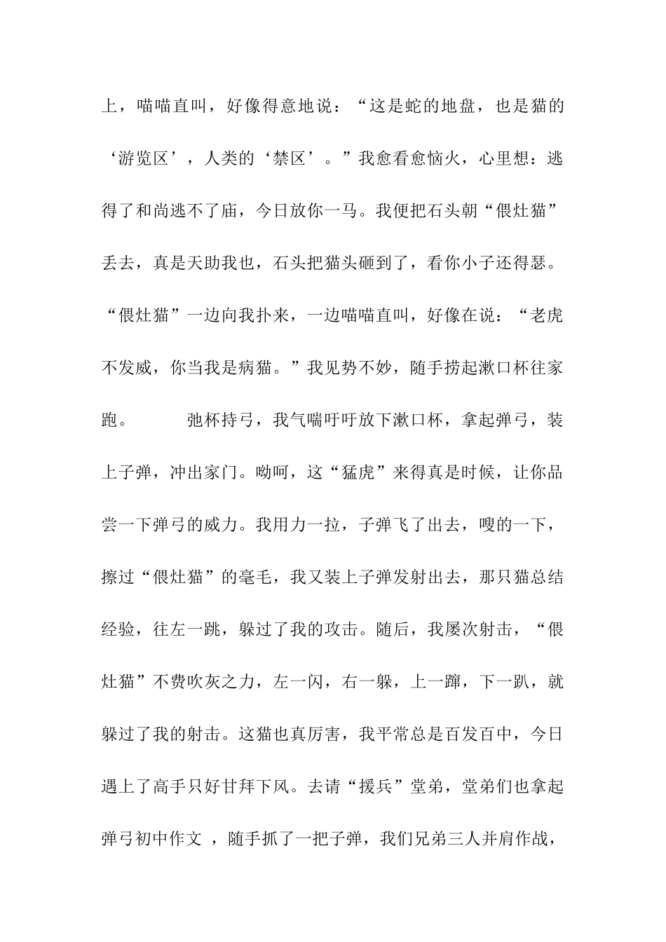 人猫硬战三百回合作文900字_第2页
