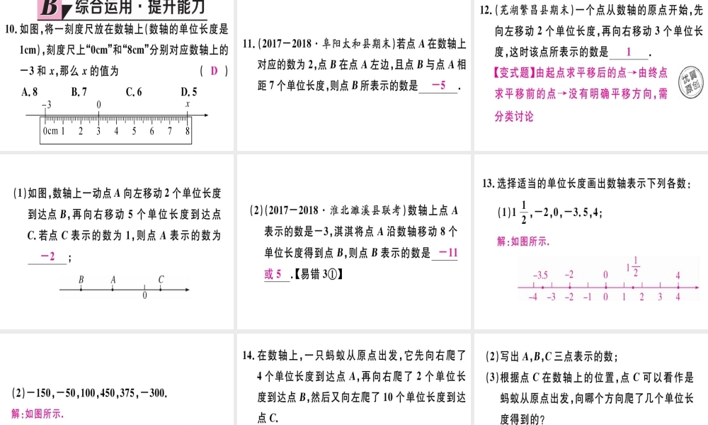 第1课时 数轴