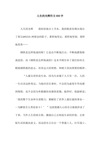 人生的光辉作文900字